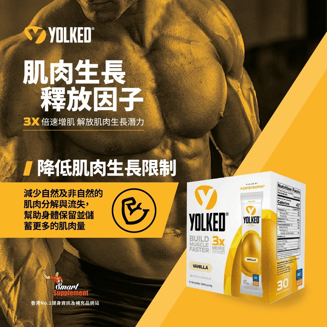 YOLKED 肌肉生長釋放因子