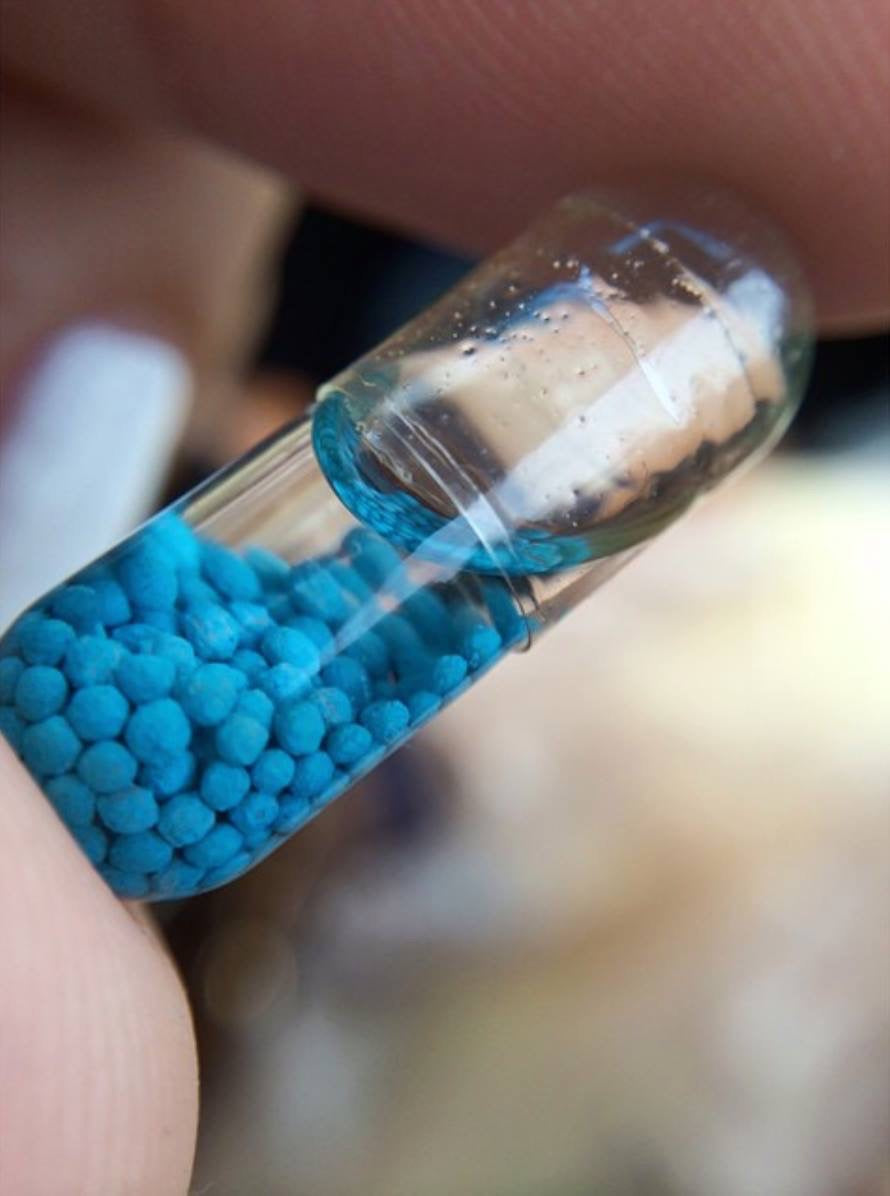 SST 新 · 藍丸 + 辣椒素 強效持久消脂丸