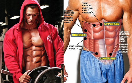 是否真的能單獨訓練上腹和下腹？