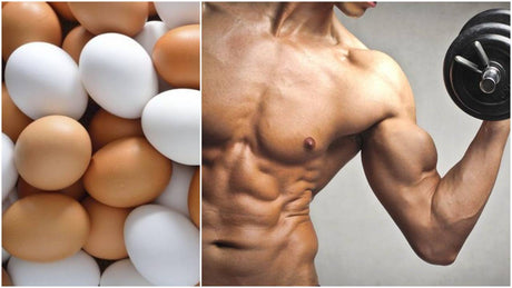 為什麼「蛋白」能成為增肌餐單的必要項目？