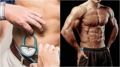 減肥知識：「內臟脂肪」比肥肉更可怕！