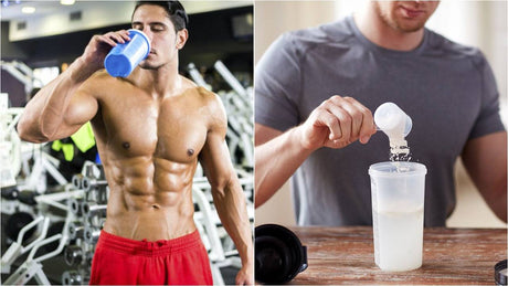 第一次選購健身奶粉？一張圖讓你秒懂各種蛋白質補充品最重要的分別