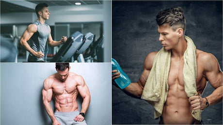 極端消脂週期的氨基酸補充品使用方法：如何給肌肉最大的保障？