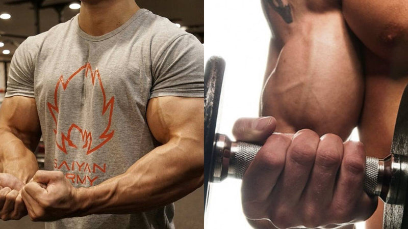 手臂二頭肌訓練技巧：「拮抗肌的輔助」