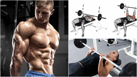 手臂三頭肌訓練動作之王：窄握三頭推舉（Close Grip Bench Press）